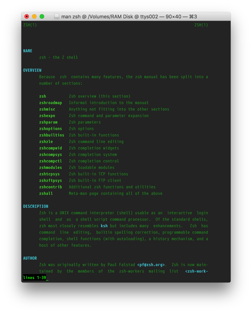Screenshot of the zsh manpage with the customized style.